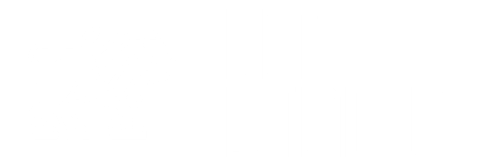 LIONS AUTOMOTIVE LLC